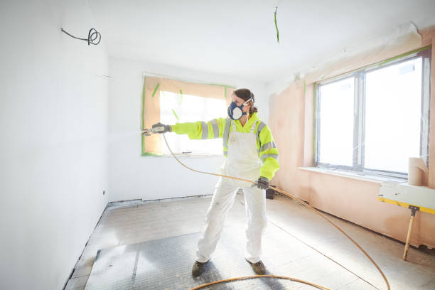 Trusted Spring Lake, NC Mold Removal Experts