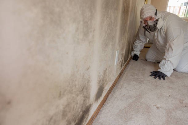 Mold Documentation for Insurance Claims in Spring Lake, NC