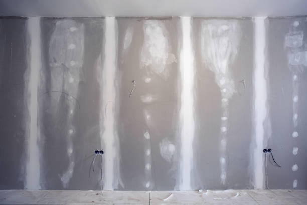 Best Mold Prevention Services  in Spring Lake, NC